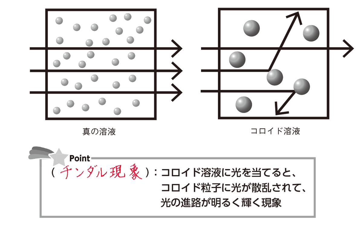 チンダル現象とは？木漏れ日の正体と美容医療の思わぬリスクを徹底解説