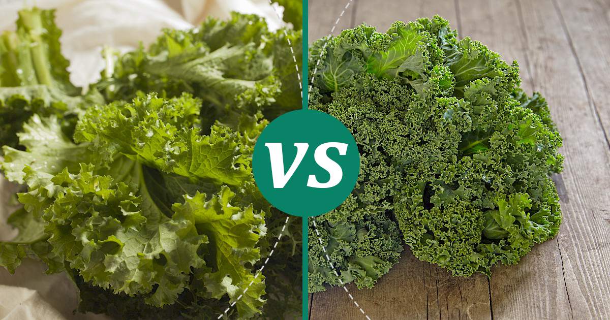 Kale and Mustard Greens