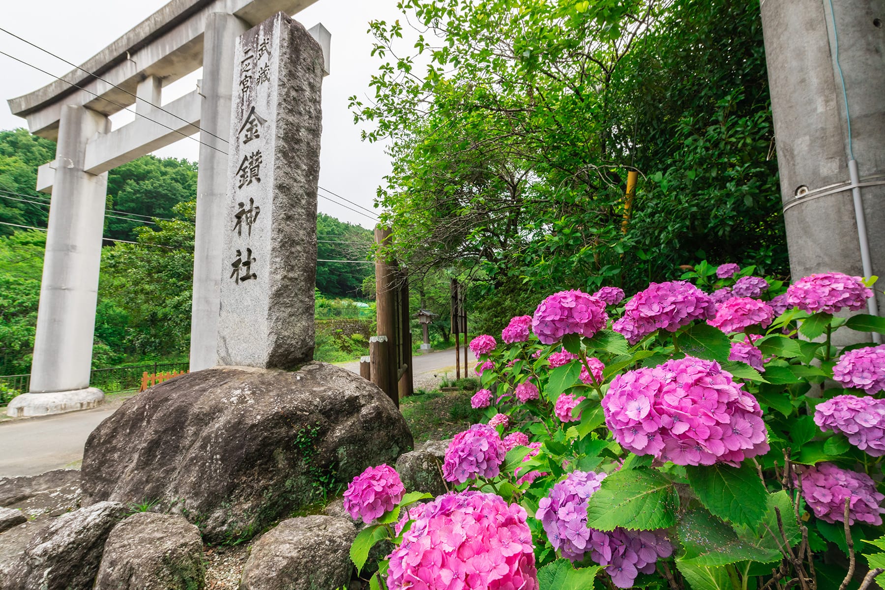 かなじょ埼玉は何者？本名や噂の真相と2026年最新の現在を追う