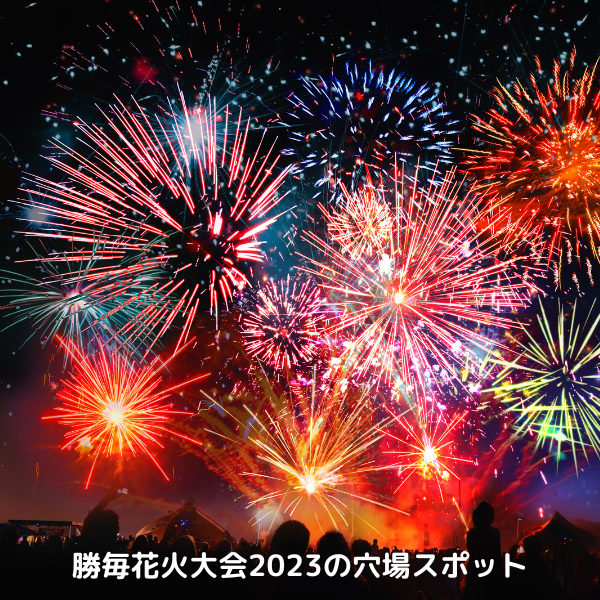 帯広の夜空が激変したあの日——2026年の今振り返る「完全復活」の熱狂と、次世代花火エンターテインメントの原点