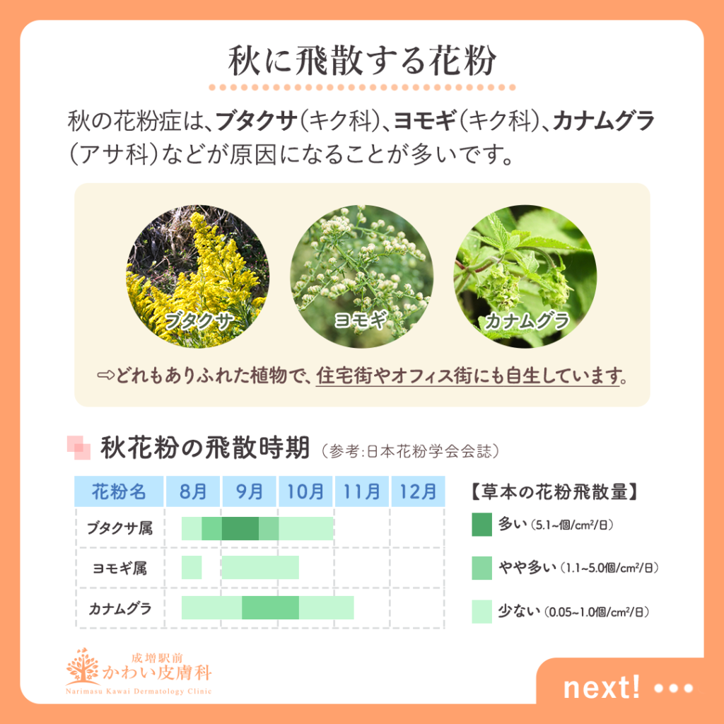 9月の花粉症と風邪の決定的な違い｜ブタクサやヨモギの症状と最新対策