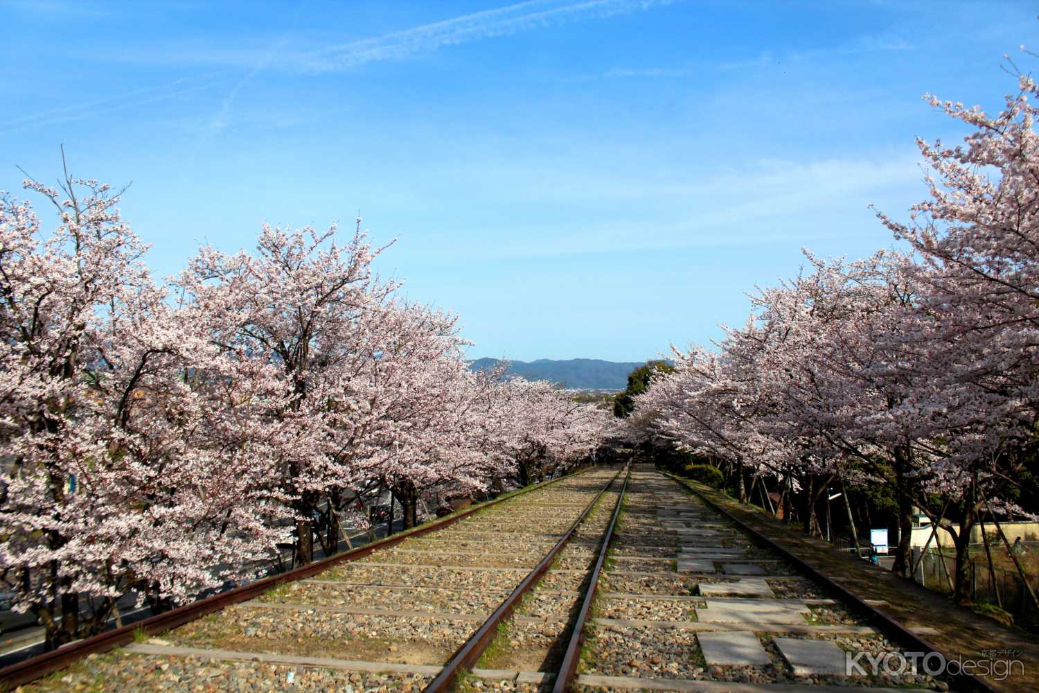 京都・蹴上はなぜ人々を魅了するのか？絶景と歴史の真相を徹底解説