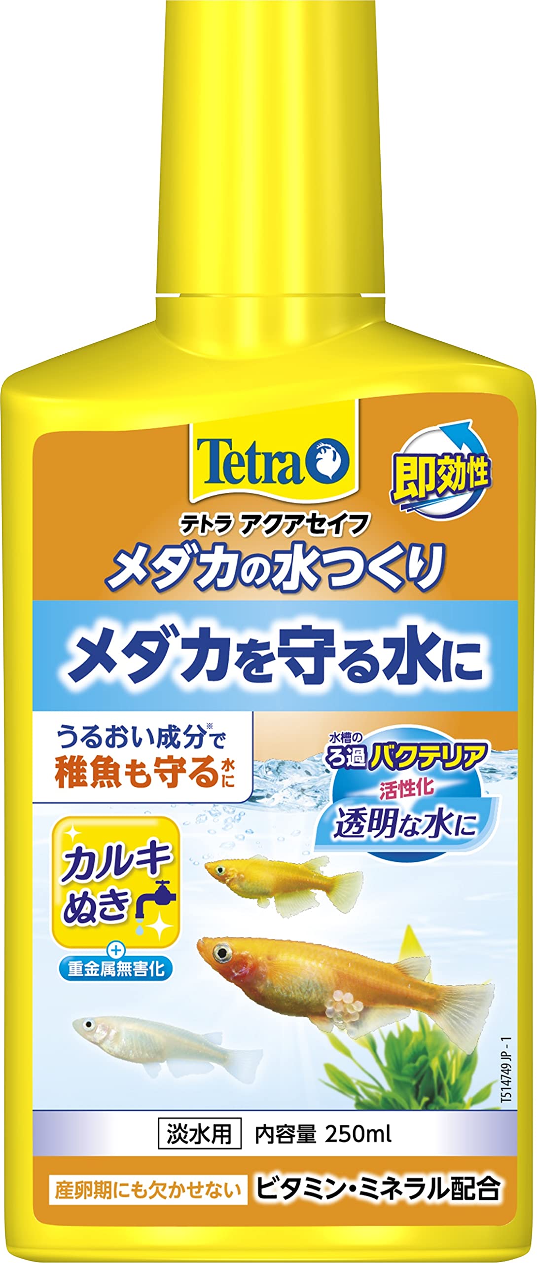 メダカが死ぬ前に知りたい！水道水カルキ抜きの正しい時間と方法完全版