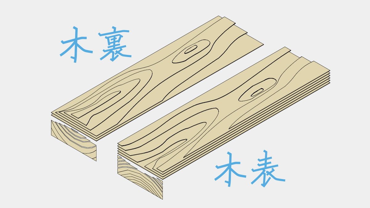 木表と木裏の見分け方と使い分け｜反る方向の理由とプロの鉄則