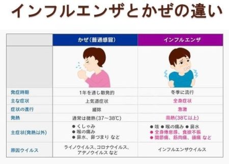 【必見】 インフルエンザ に ならない 人 2026年最新メディア #844