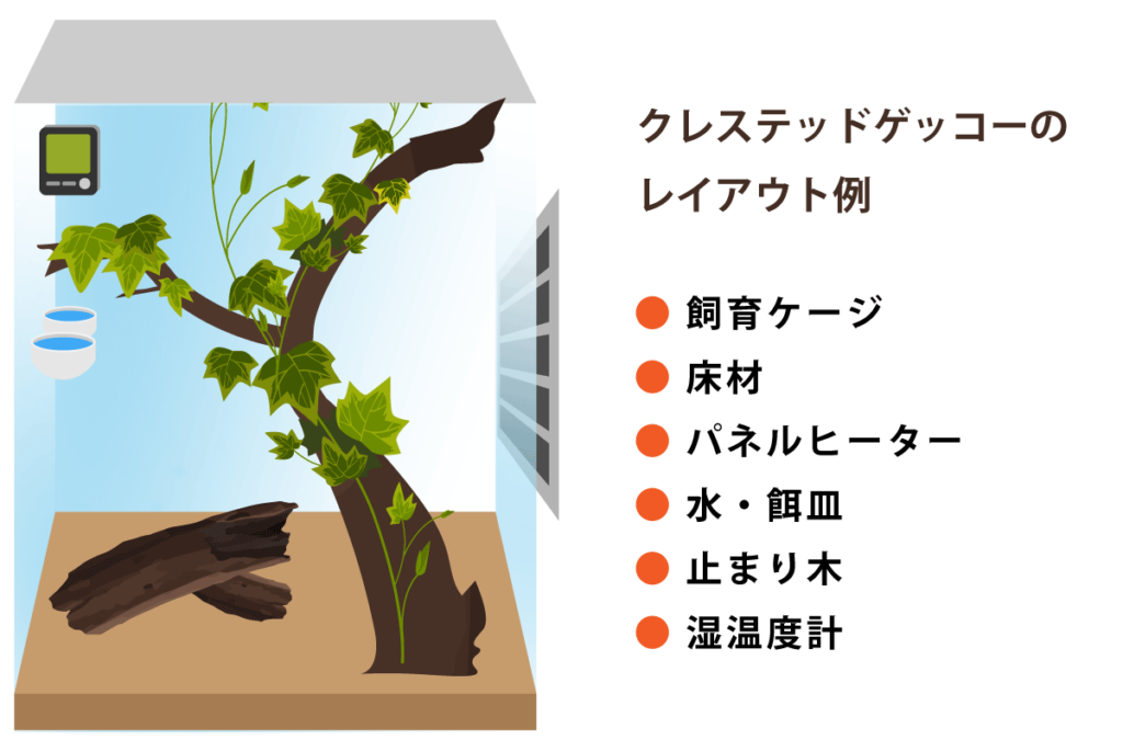 クレステッドゲッコーのレイアウト決定版！立体活動を引き出す秘訣