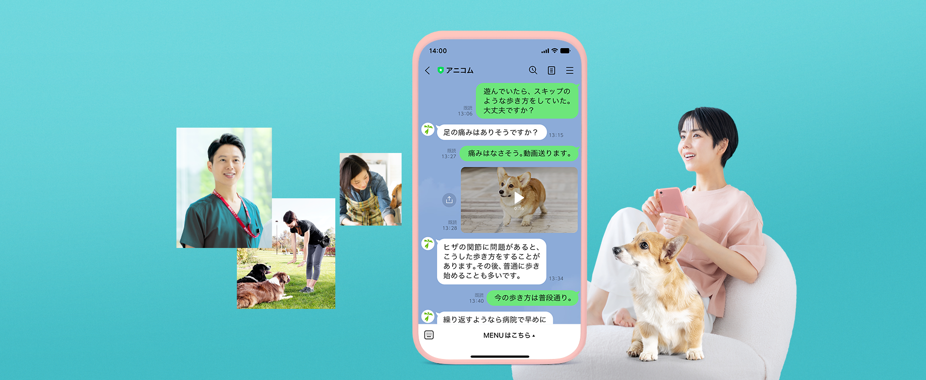 アニコムの相談窓口は無料？獣医師Line相談の評判と夜間対応の真相