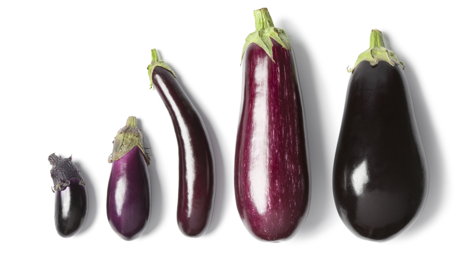 Chinese Eggplant vs Eggplant