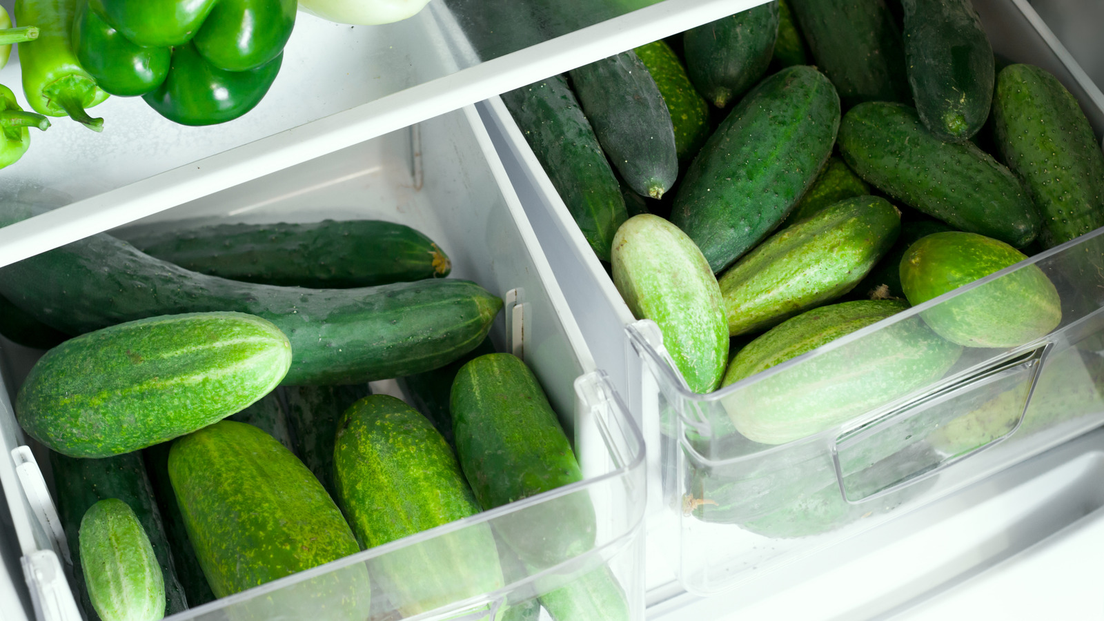Do You Put Cucumbers in the Fridge