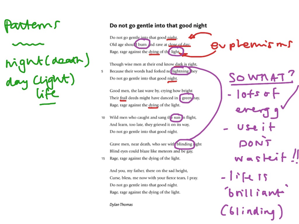 Analysis Do Not Go Gentle into That Good Night