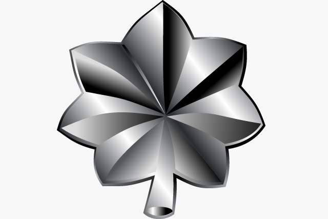 Lt Colonel Military Rank