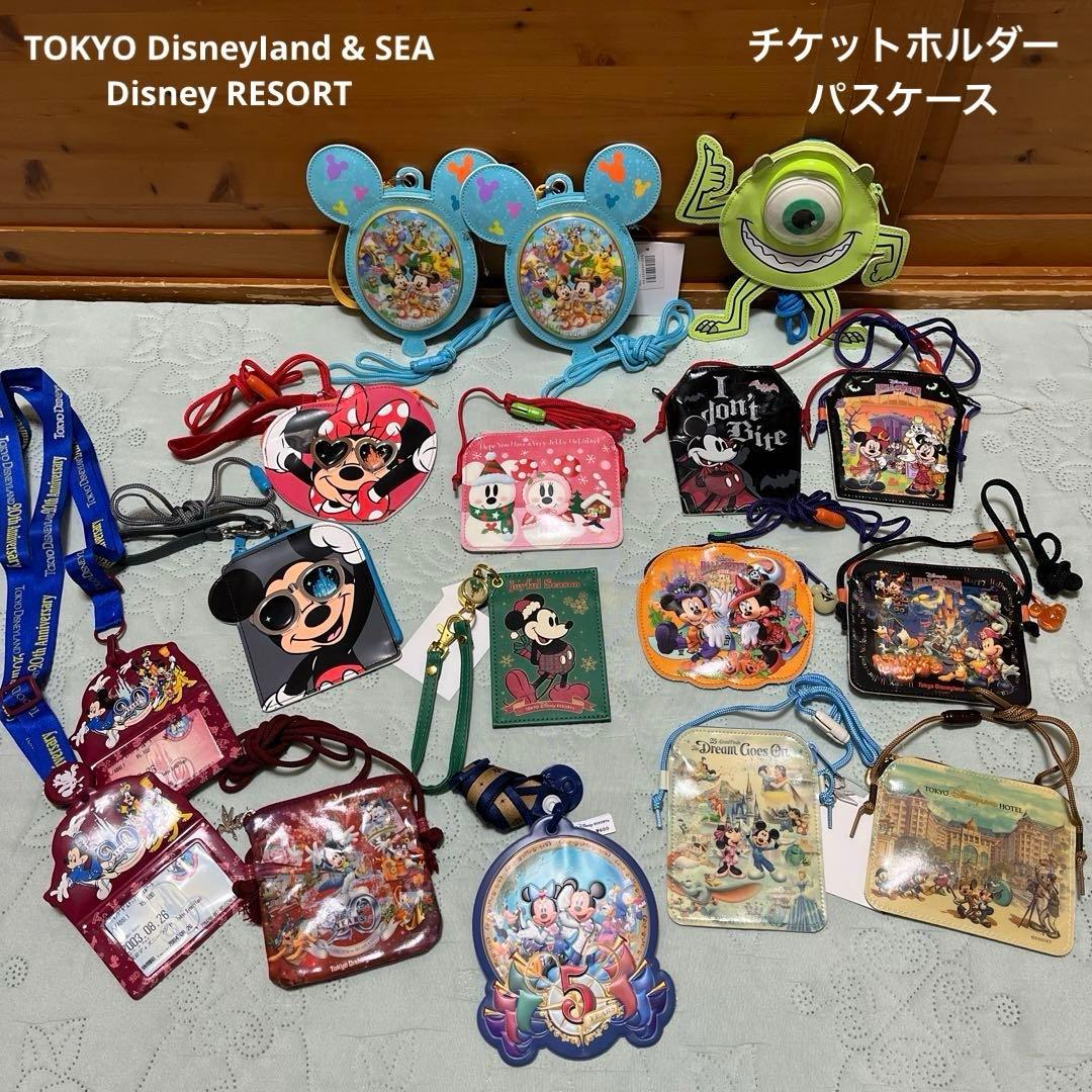 ディズニーランドのチケットホルダーは本当に不要？最新売り場と実態を徹底解説！