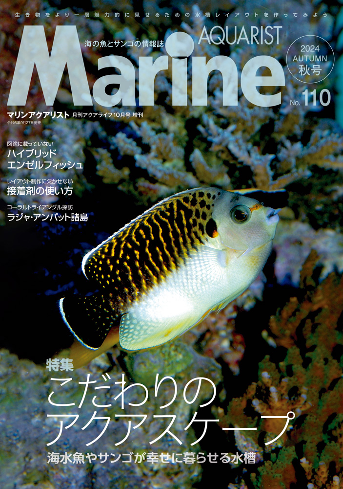 水戸のアクアマリンとは？大洗水族館との混同の真相と2026最新評判