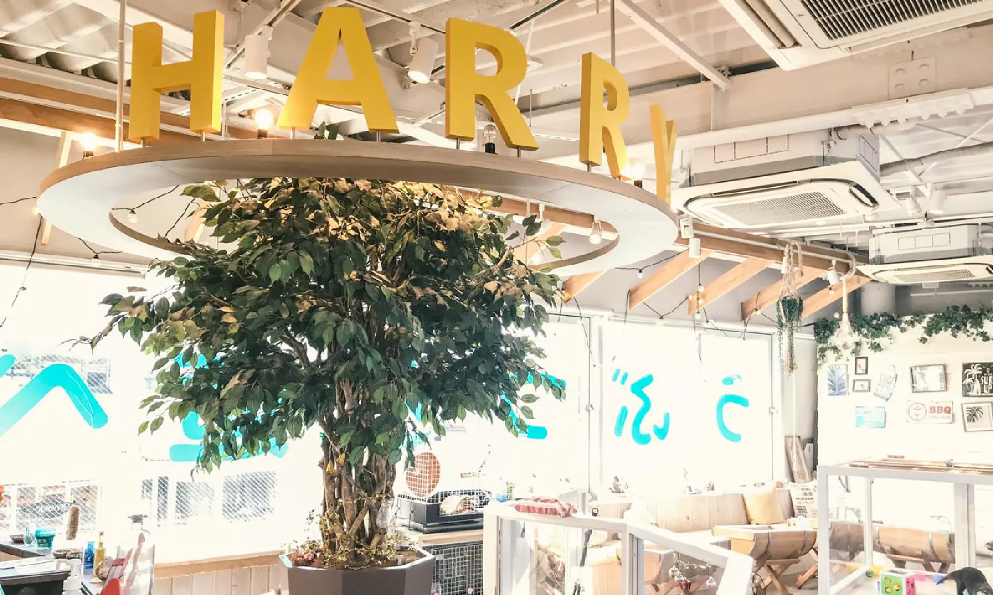 Harry原宿テラス店を徹底取材！炎上の噂の真相と2026最新情報