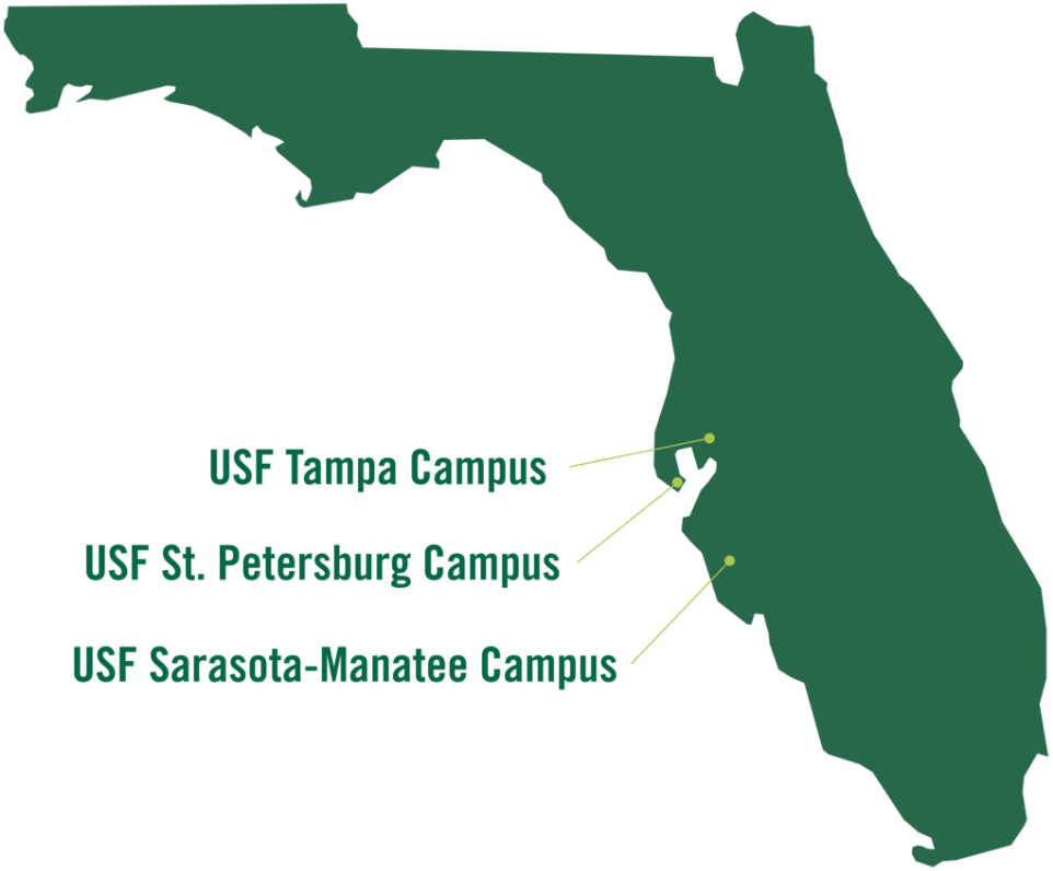 Where Is Usf Located