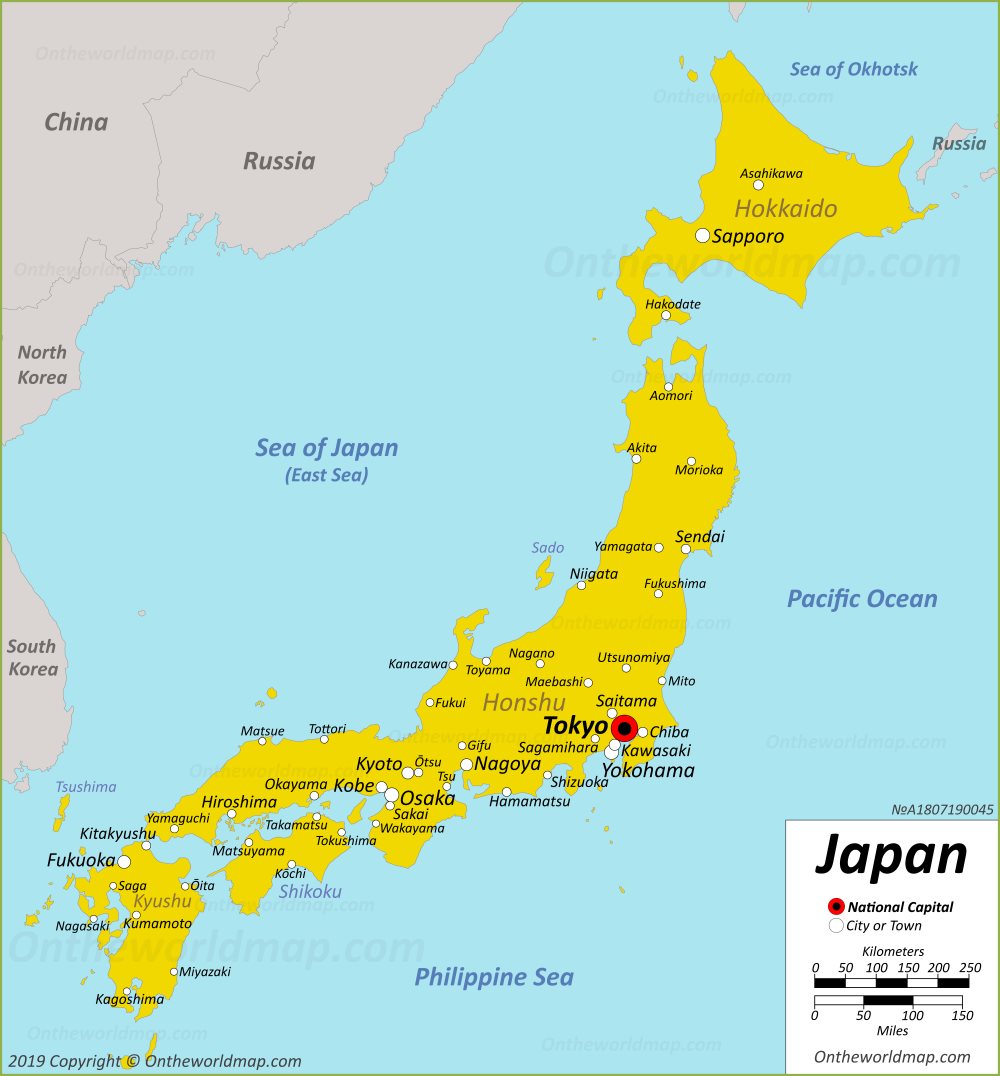 激変する巨大市場の裏側！新規制と世界展開が生む業界再編の真相