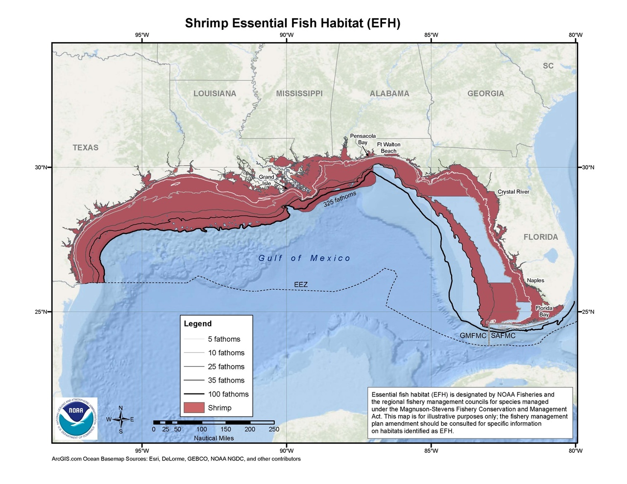 Where Do Shrimp Live