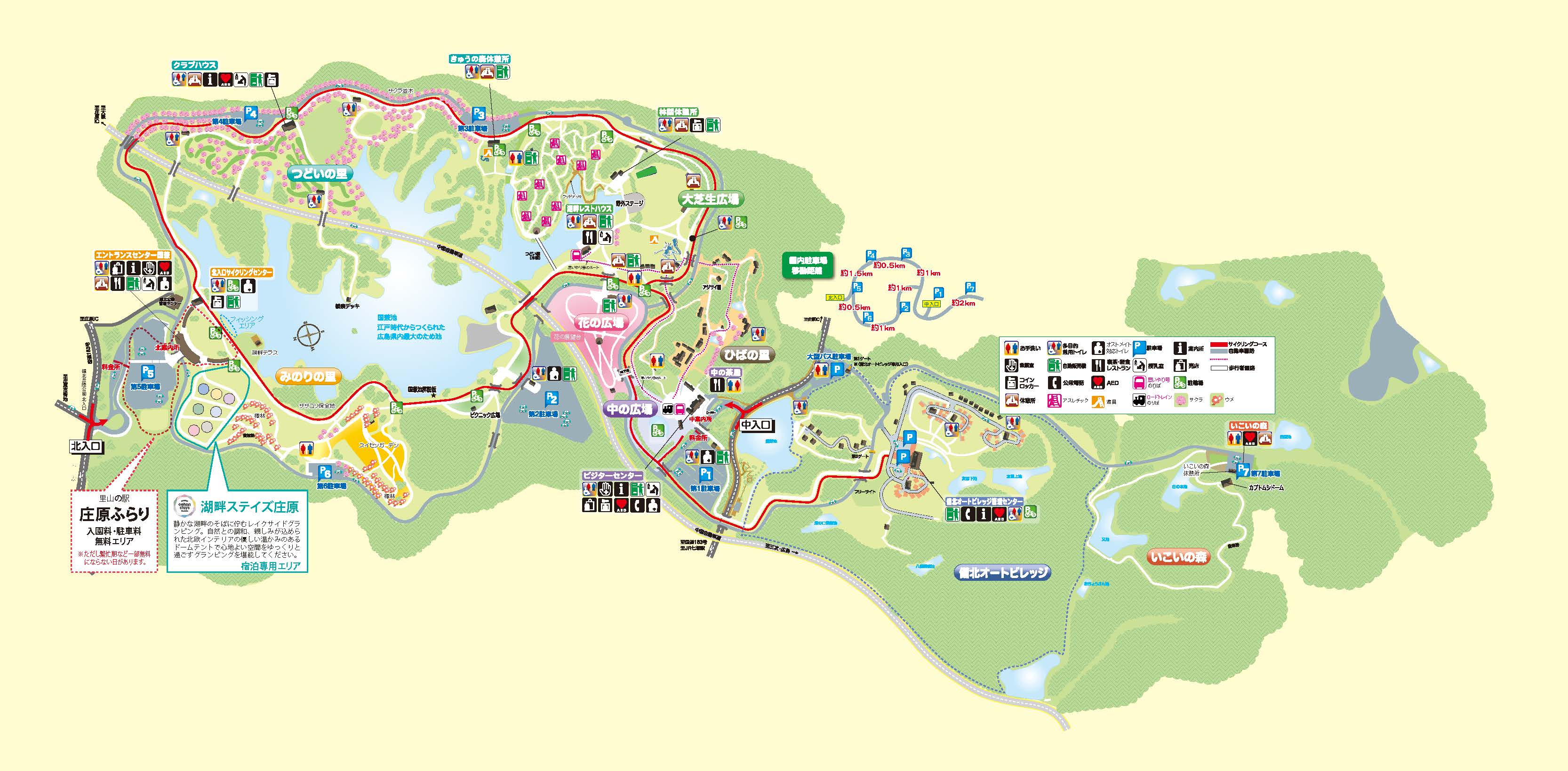 国営備北丘陵公園を完全攻略！絶景花畑・イルミと混雑回避の極意
