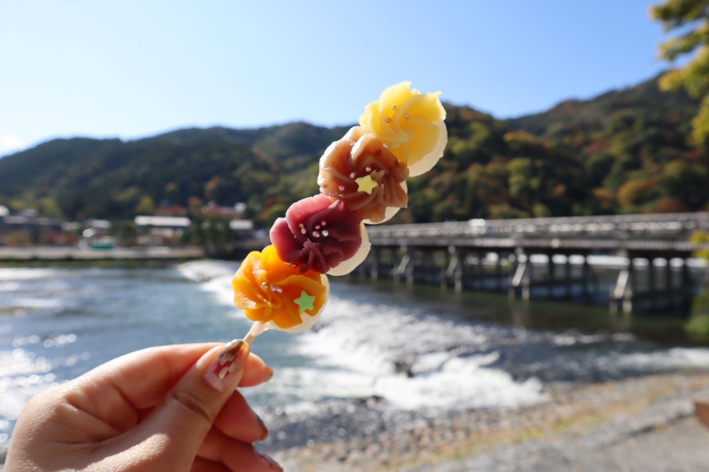 嵐山の極上ランチ徹底取材！絶景と職人技が織りなす美食の決定版
