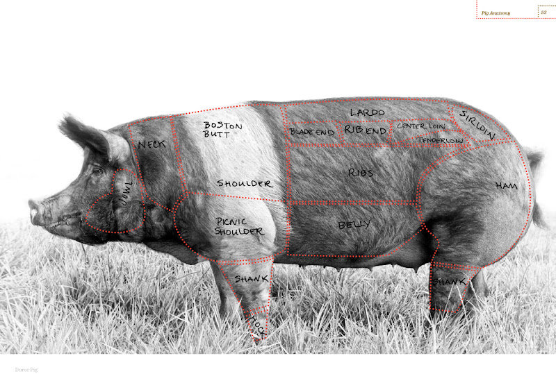 What Animal Is Salami Made From