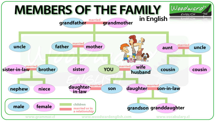 Terms for Family Members