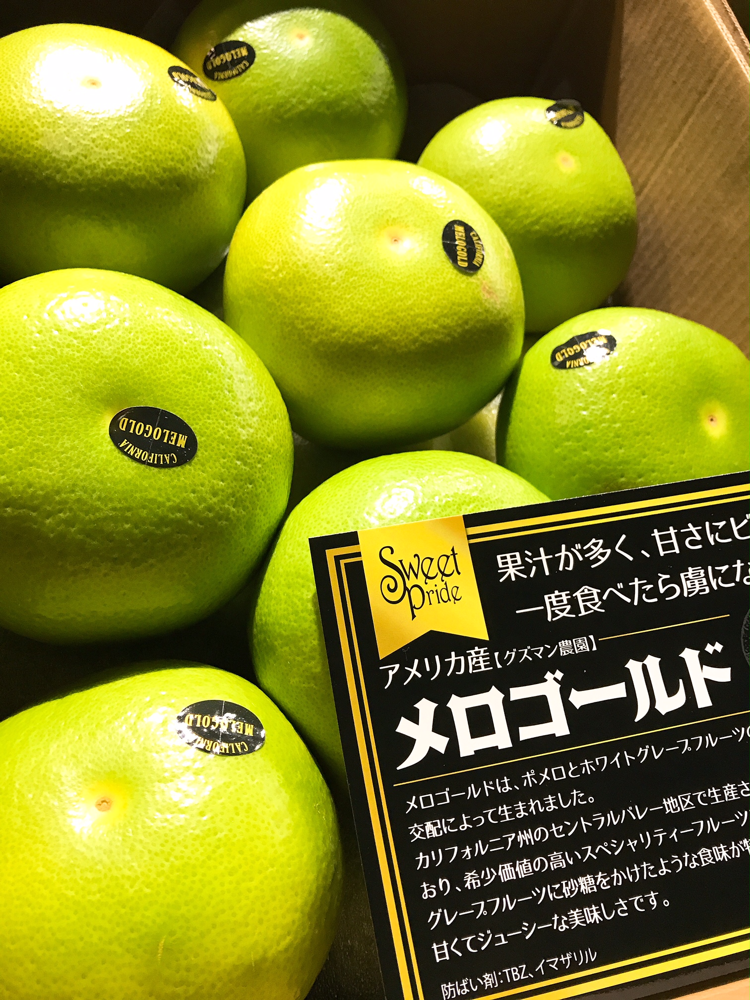 驚きの甘さ！メロゴールドの旬と失敗しない剥き方・選び方を徹底解説