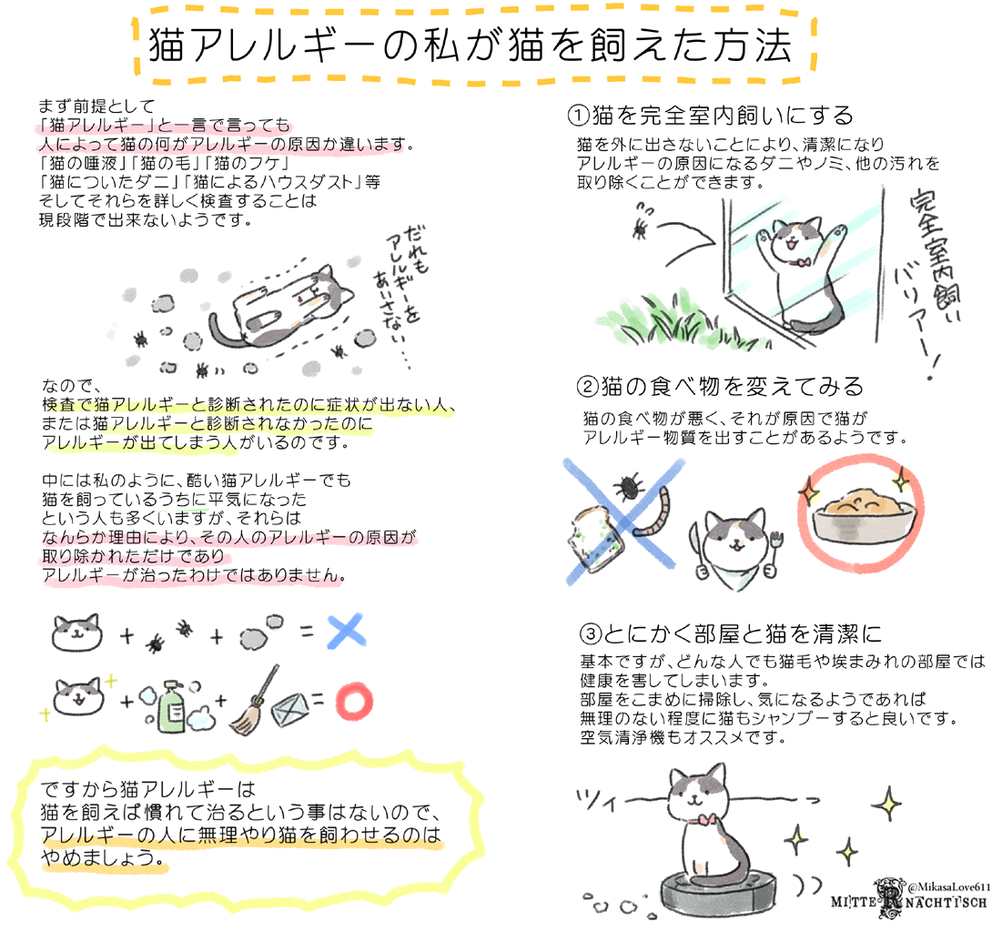 猫アレルギーの治し方は存在する？完治の真相と2026年最新治療法