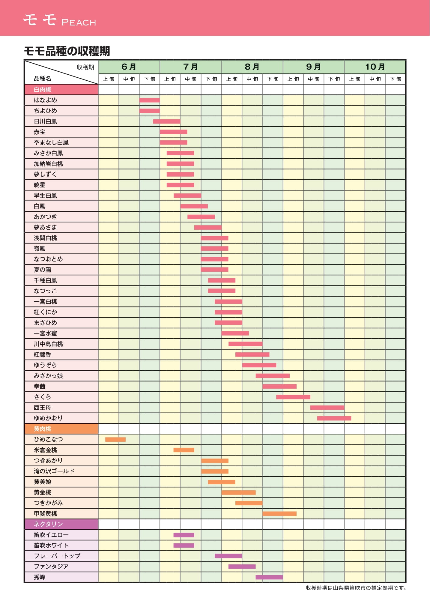 山梨の桃の時期はいつ？2026年旬カレンダーと極上桃の見分け方