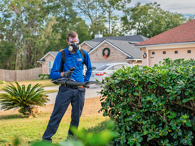 Organic Pest Control Services in Jacksonville Fl