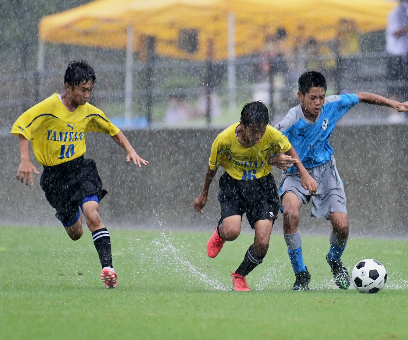 鹿児島県サッカー協会2026最新速報！大会日程やトレセン選考の実態を網羅