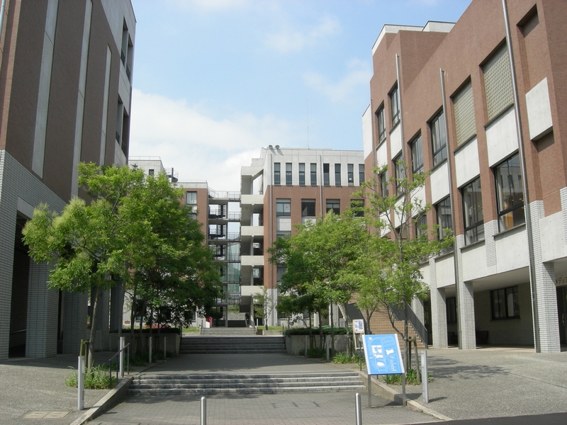 九州国際大学の偏差値と就職のリアル！学部改革と特待生合格術