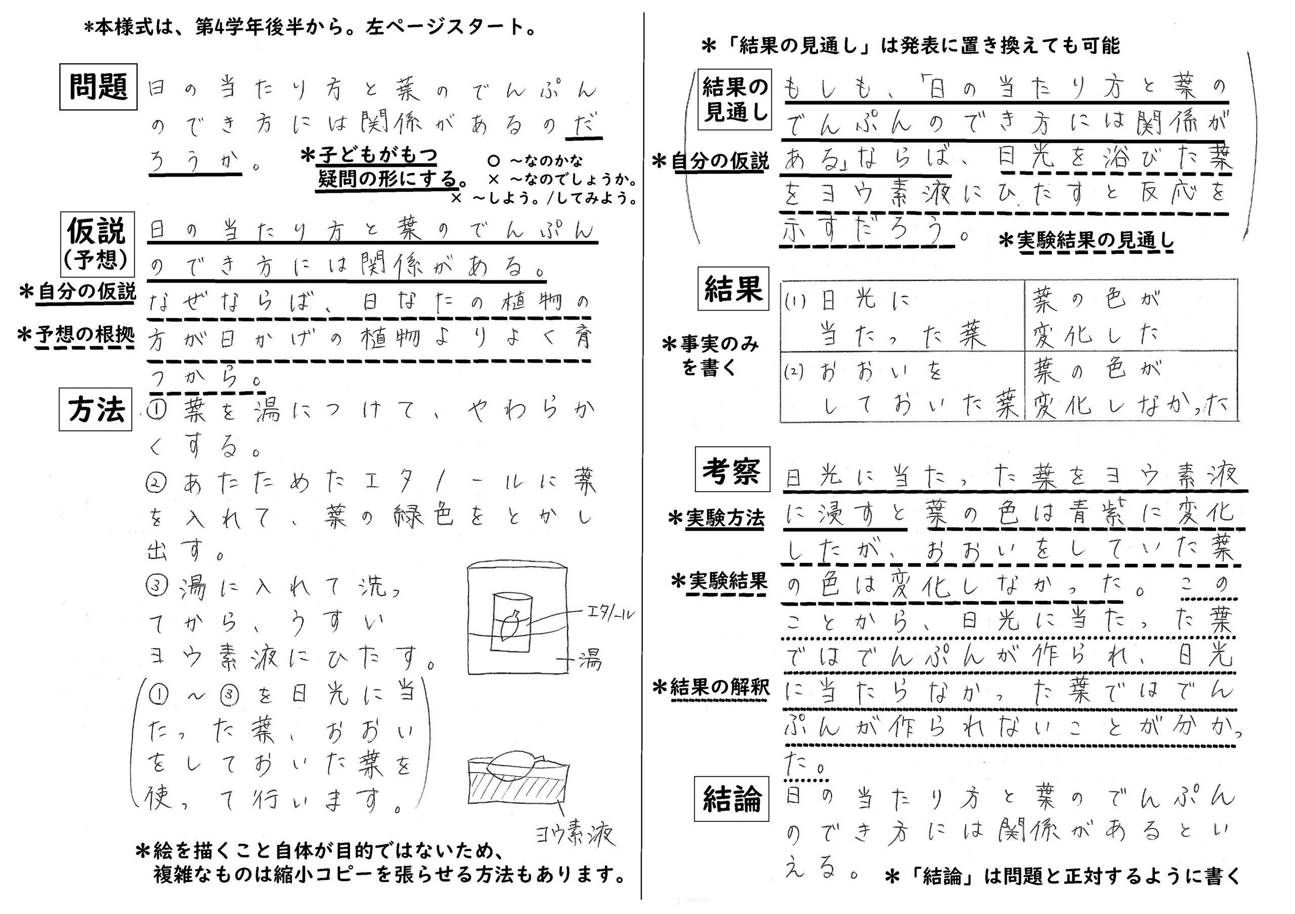 小学校の理科ノートは何マスが正解？5Mm方眼で成績が変わる理由を徹底解説