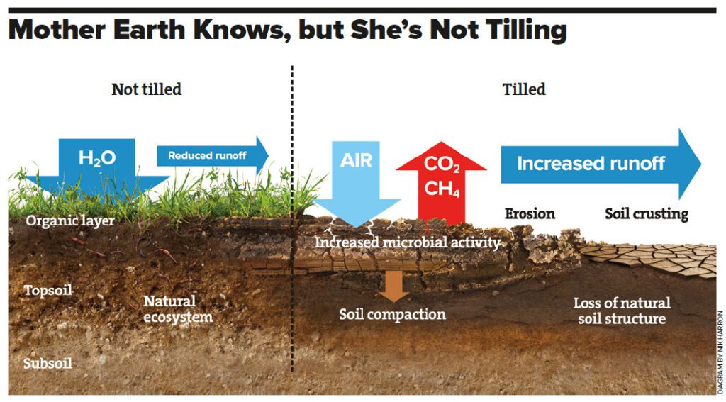 How Does Tilling Affect the Soil