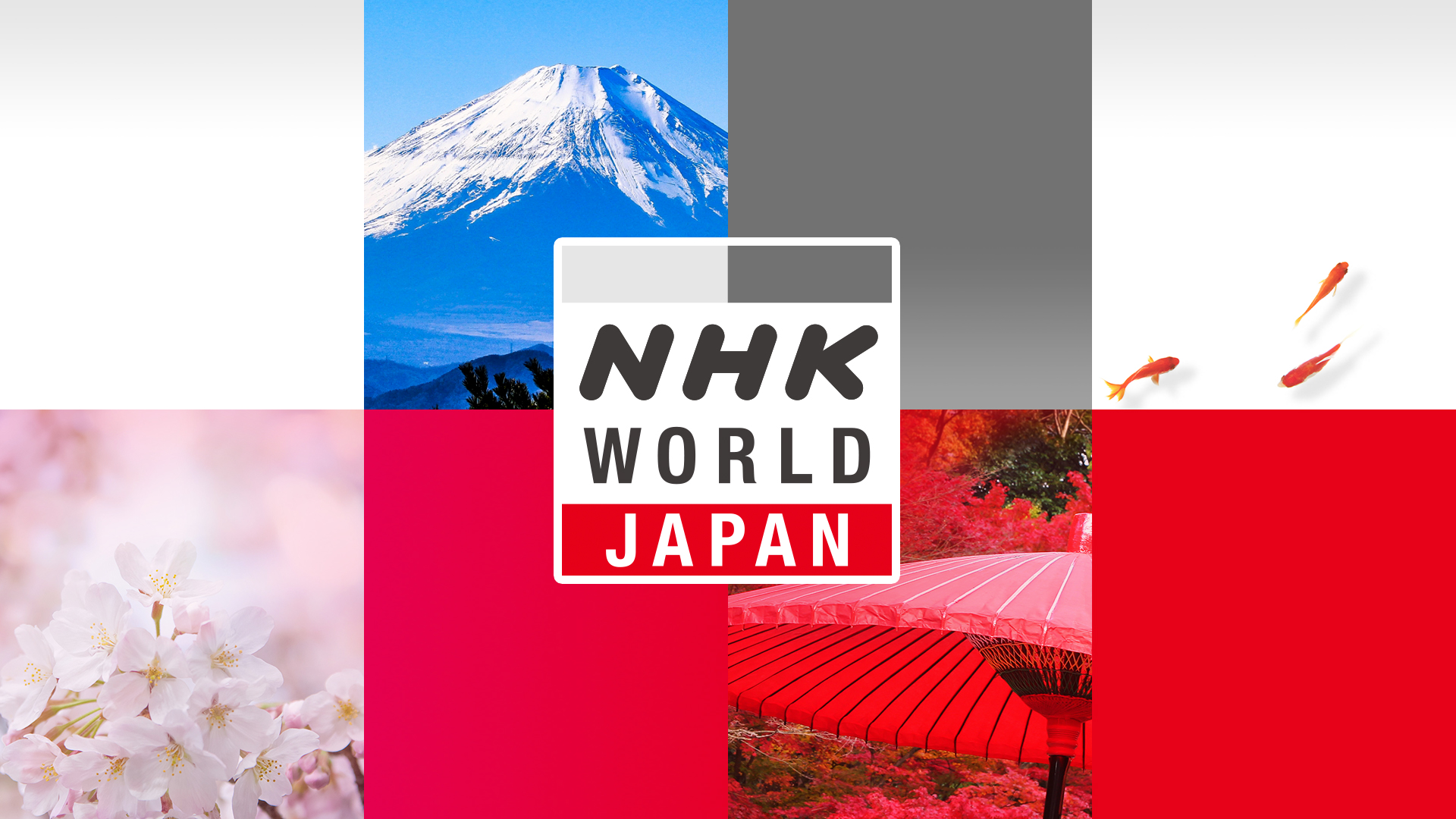 Nhk女性アナウンサー最新事情！人気ランキングと異動・年収の全真相