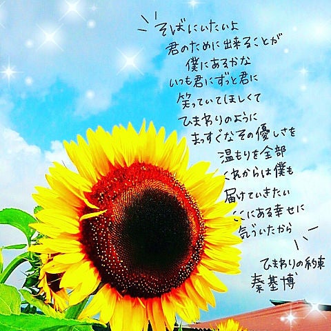 【まとめ】 秦 基博 ひまわり の 約束 歌詞 2026年最新芸能速報 #671