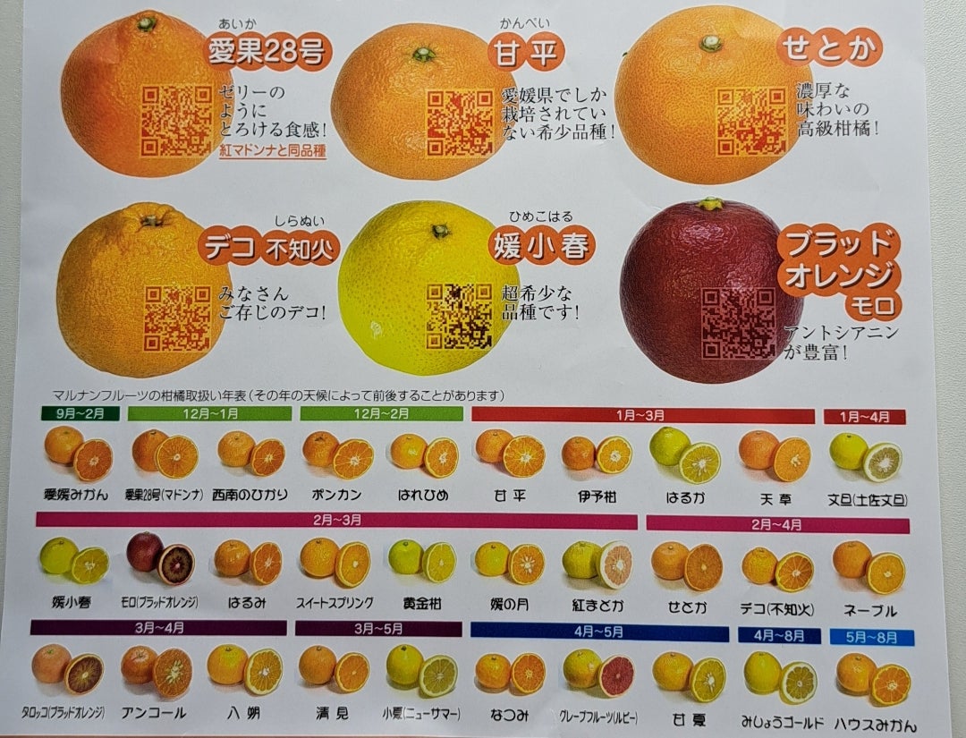 薬と柑橘類の危険な罠！フラノクマリン含有一覧と温州みかんの真相