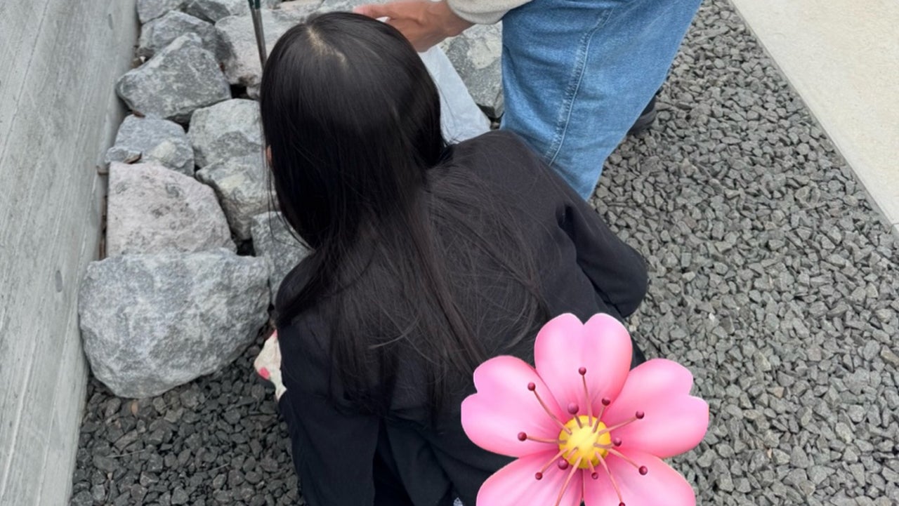 「庭を見ればその家がわかる」の真実！住人の心理と防犯リスクの全貌