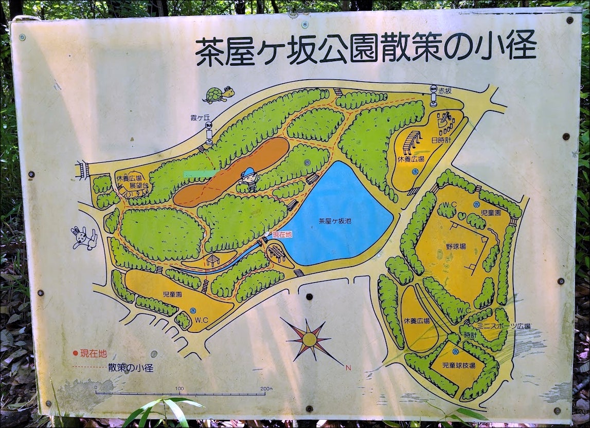名古屋・茶屋ヶ坂公園のアジサイと散策路！駐車場や混雑の実態