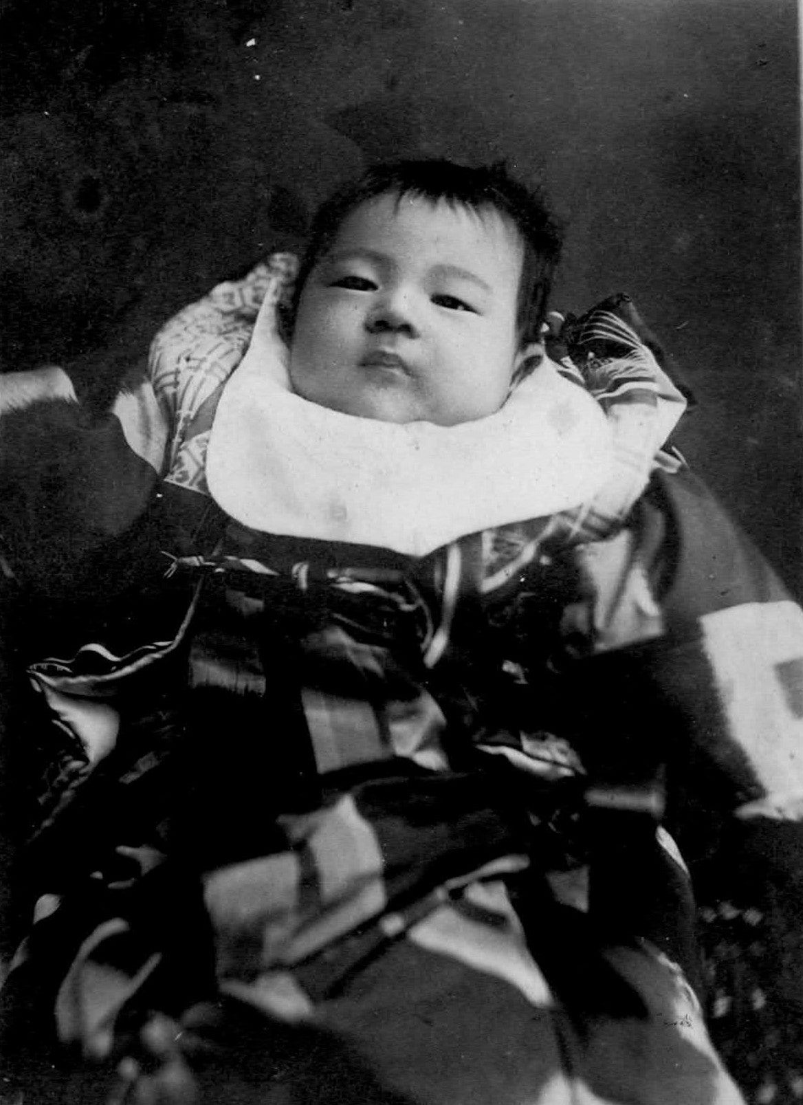 辻邦生に息子はいた？辻仁成との血縁の噂や妻・佐保子との家族構成の真相