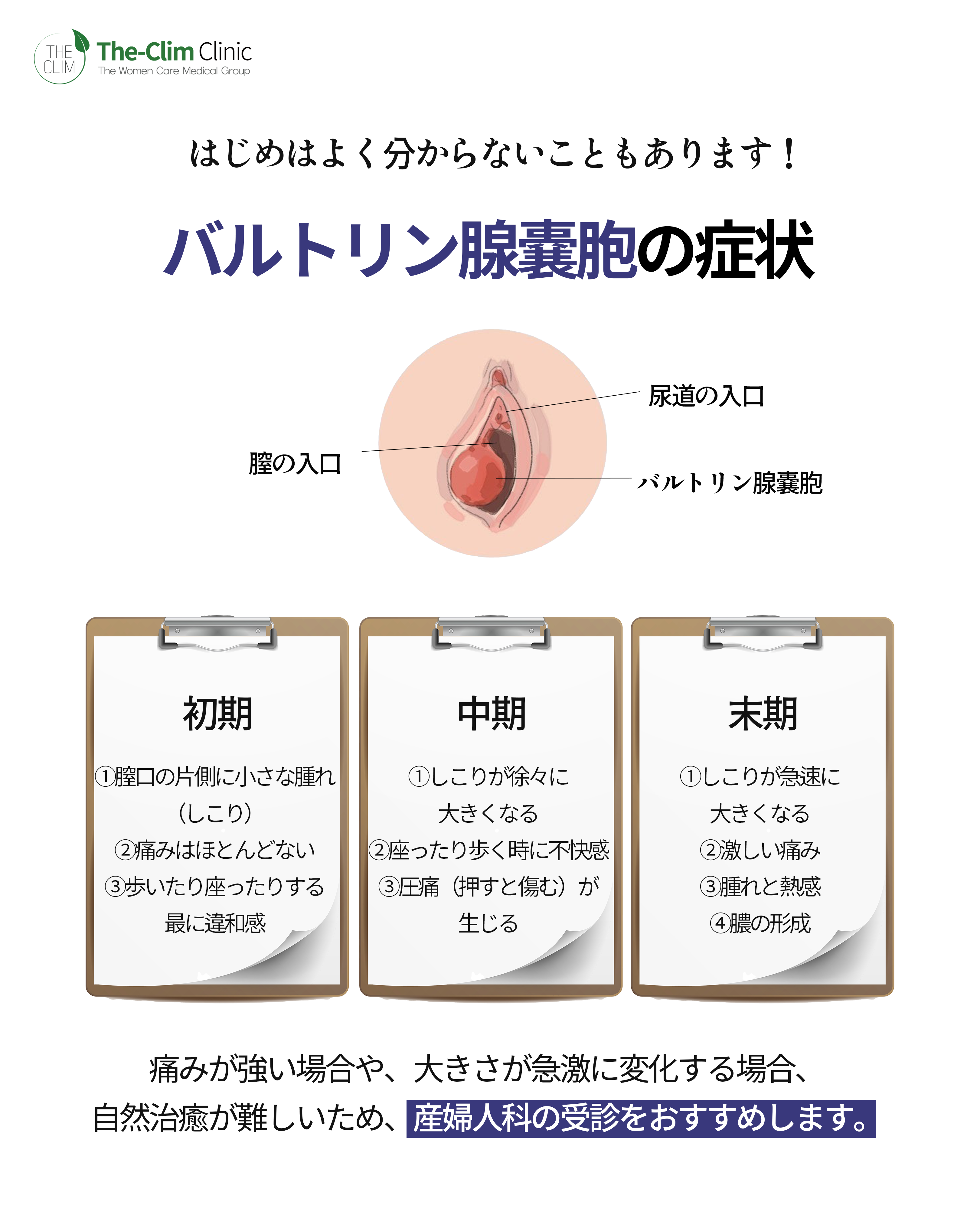 陰部のしこりはバルトリン腺嚢胞？写真で見る初期症状と膿瘍の違い