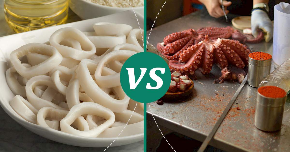 Does Calamari and Octopus Taste the Same