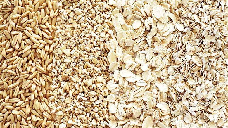 Is Oatmeal Considered a Processed Food