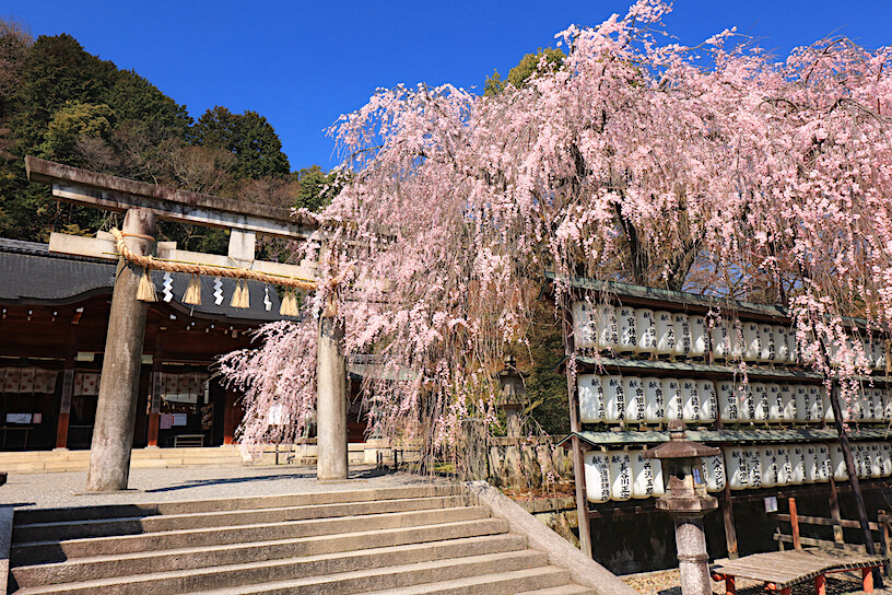 忠臣蔵の真実へ！大石神社が秘める勝運の力と限定御朱印の全貌
