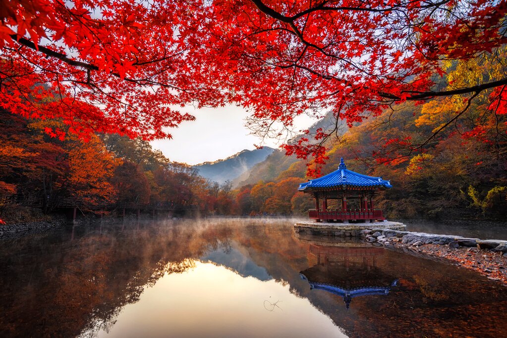 South Korea in October