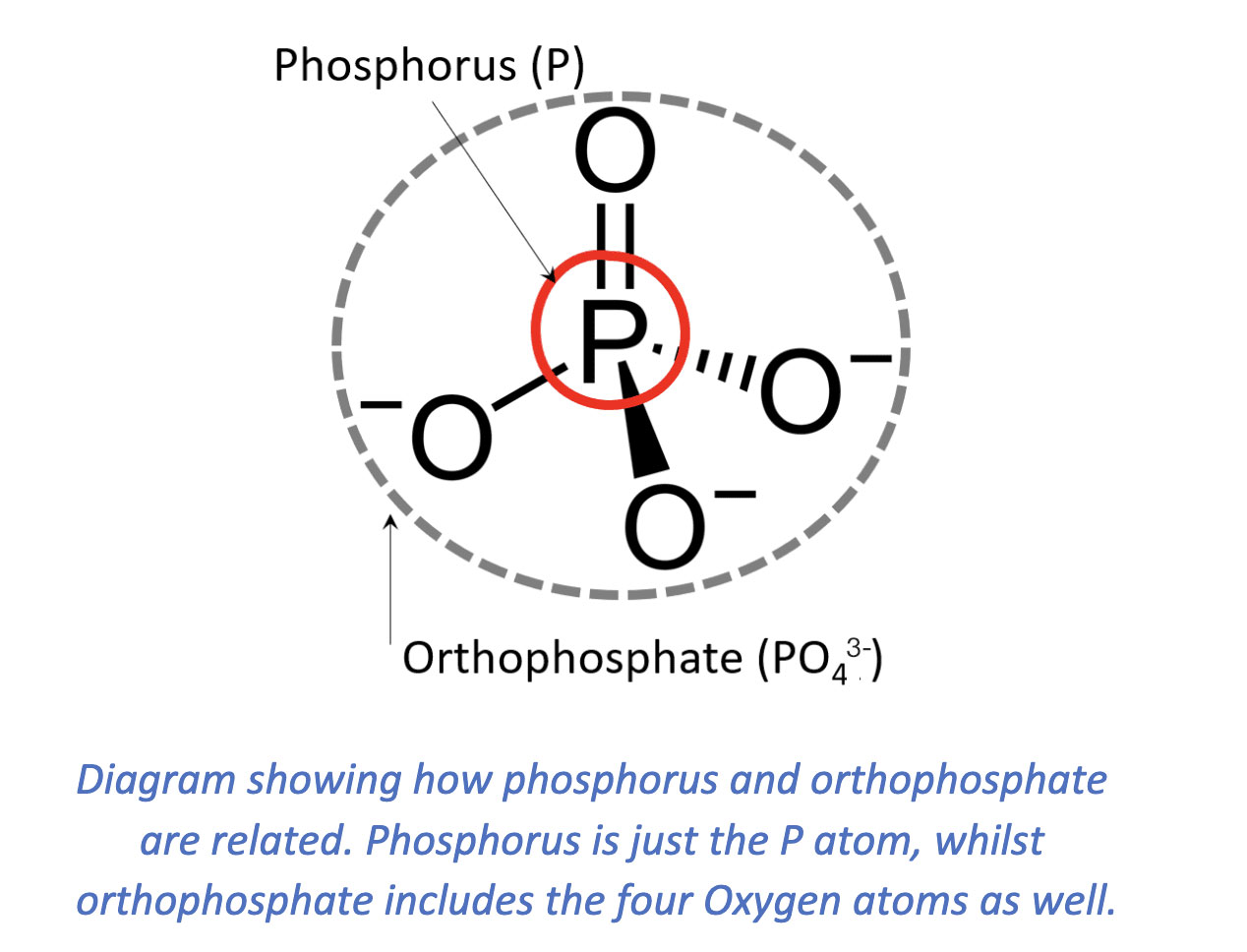What Is an Orthophosphate