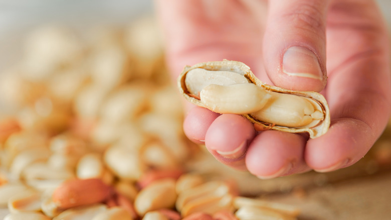 Eating Peanuts in the Shell