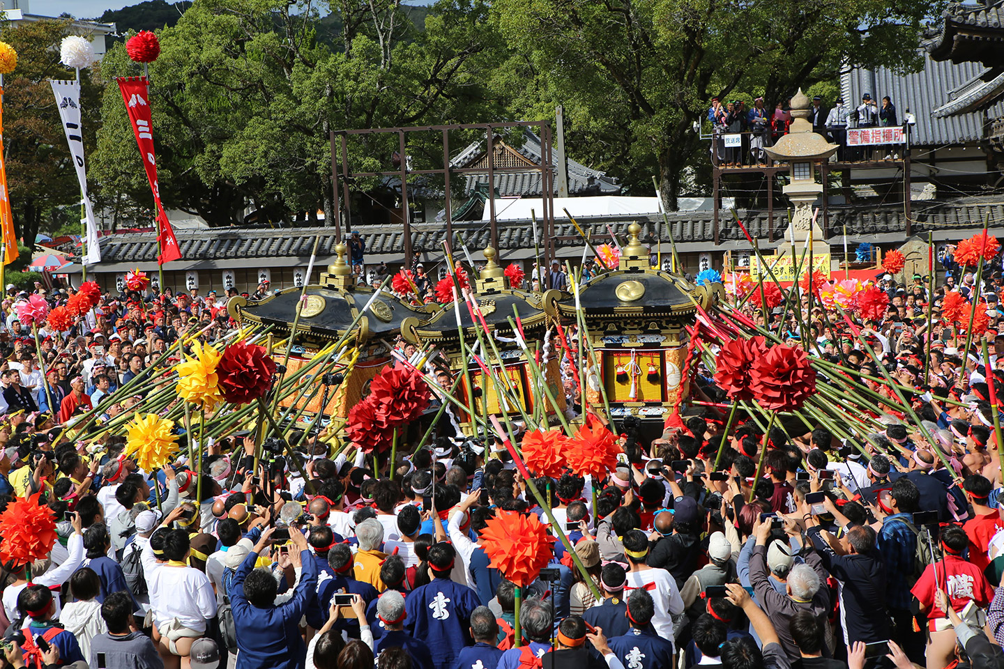 灘のけんか祭り2026徹底取材｜神輿が激突する真相と観戦ガイド