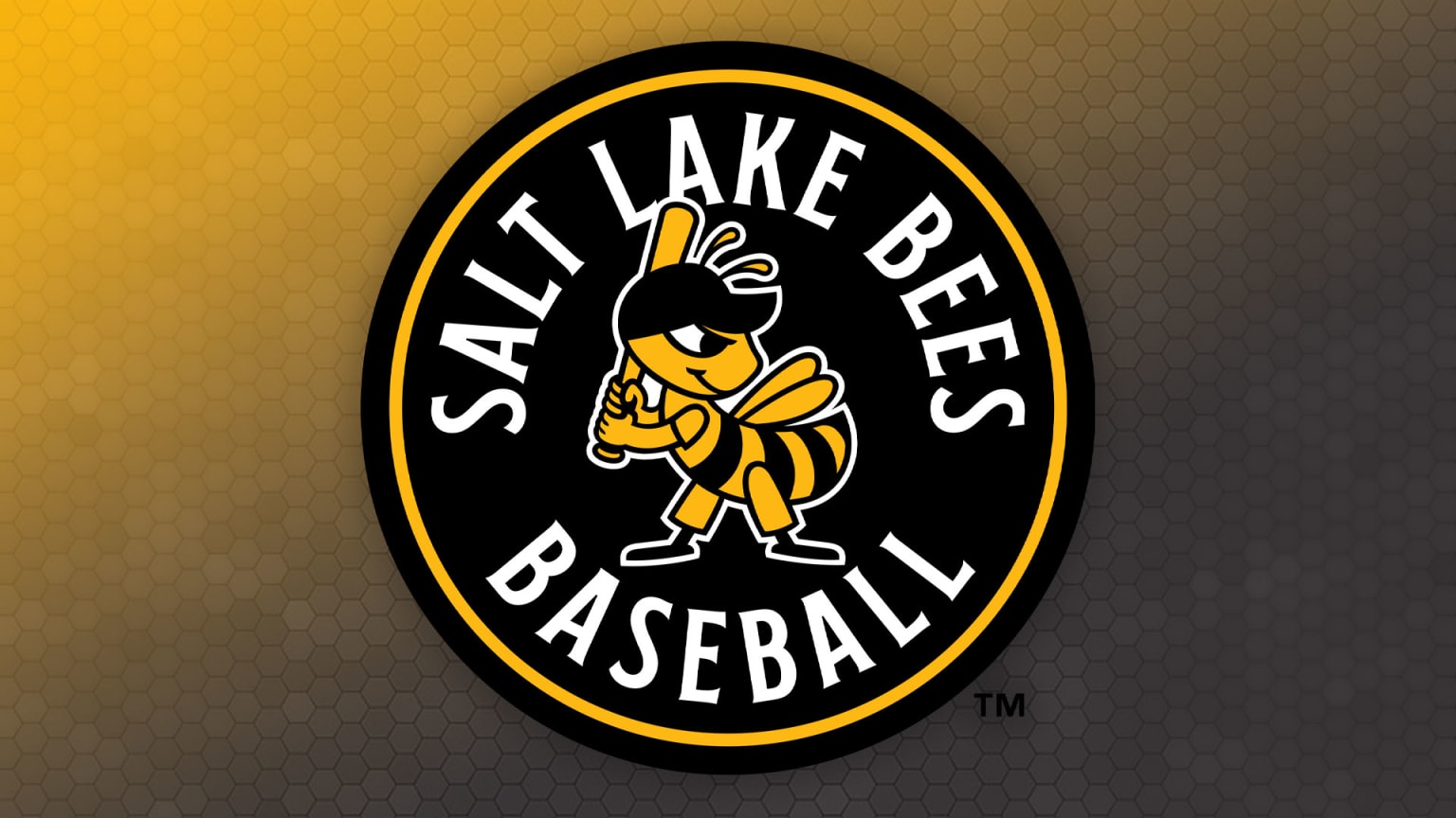 Salt Lake Bees Bag Policy