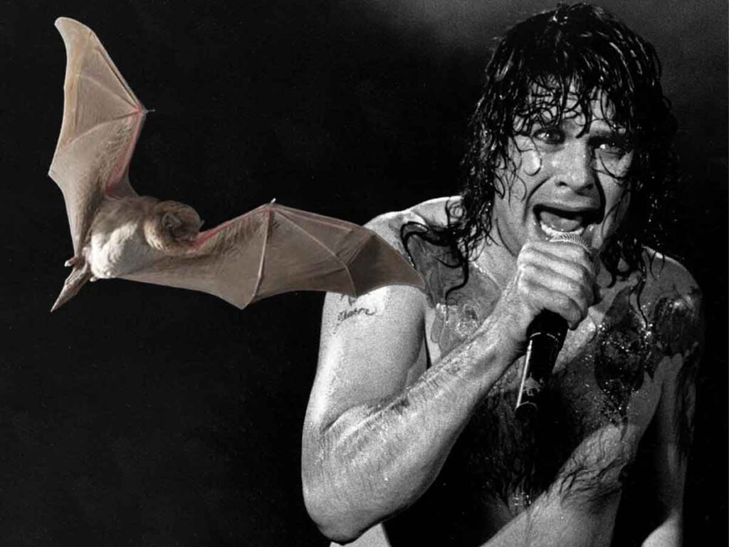 Did Ozzy Osbourne Eat a Real Bat