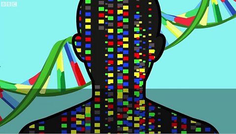 託宣のDnaが暴く「血のつながり」の嘘――2026年、急増する親子関係破綻の現場と法改正の光影